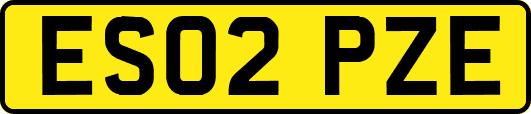 ES02PZE