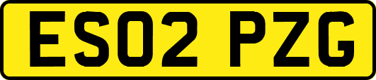 ES02PZG