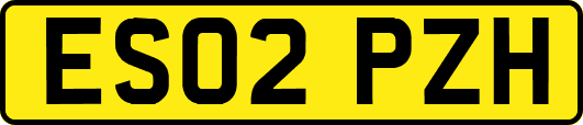 ES02PZH