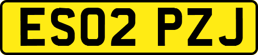 ES02PZJ