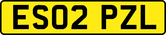 ES02PZL