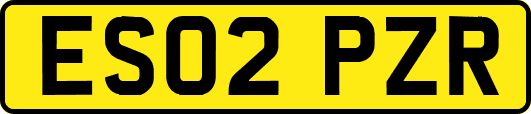 ES02PZR