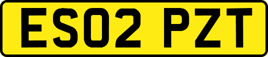ES02PZT