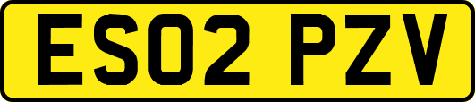 ES02PZV