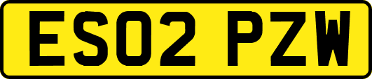 ES02PZW
