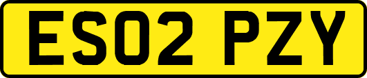 ES02PZY