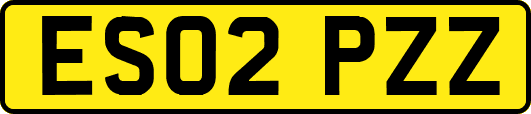 ES02PZZ