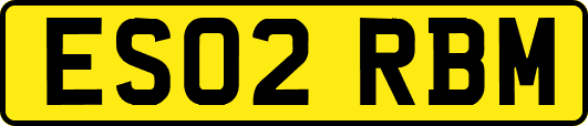 ES02RBM