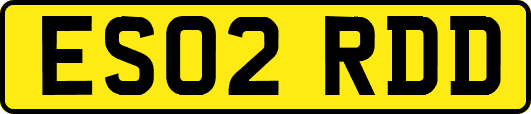 ES02RDD