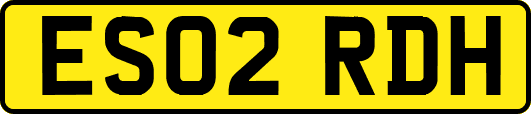 ES02RDH