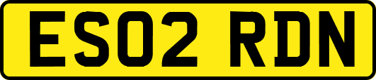 ES02RDN