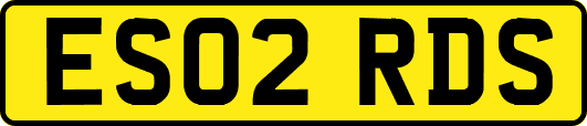 ES02RDS