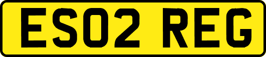 ES02REG