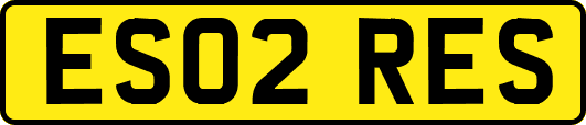 ES02RES