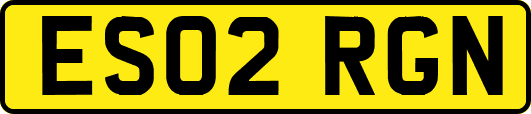 ES02RGN