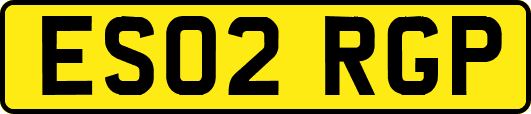 ES02RGP