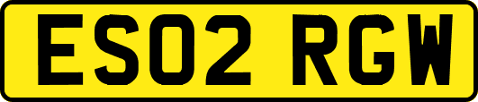 ES02RGW