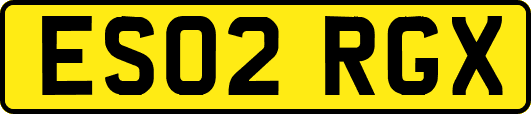 ES02RGX