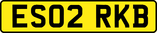 ES02RKB