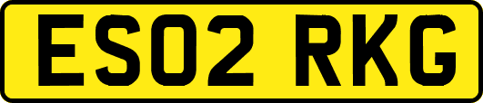 ES02RKG