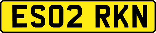 ES02RKN