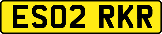 ES02RKR