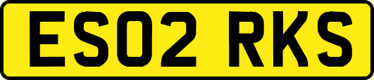 ES02RKS