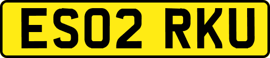 ES02RKU