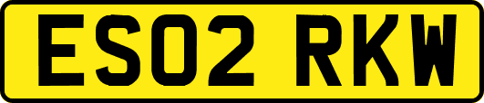 ES02RKW