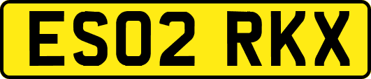 ES02RKX