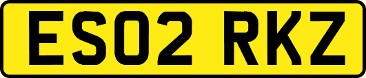 ES02RKZ
