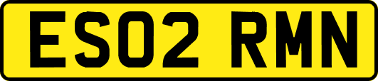 ES02RMN