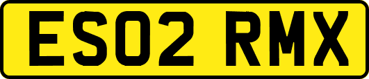 ES02RMX