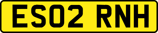 ES02RNH