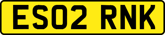 ES02RNK