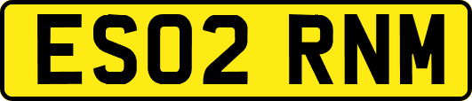ES02RNM