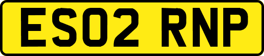 ES02RNP