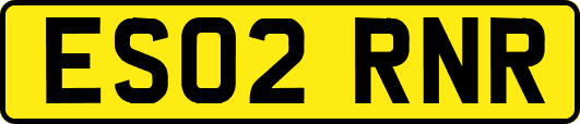 ES02RNR