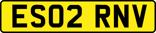 ES02RNV