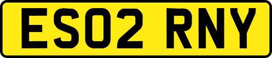 ES02RNY