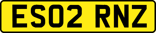 ES02RNZ