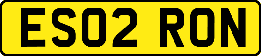 ES02RON