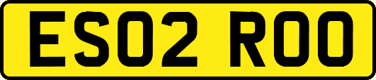 ES02ROO