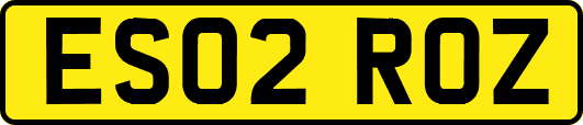 ES02ROZ