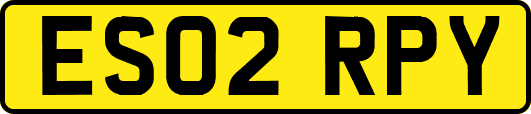 ES02RPY