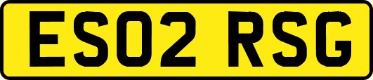 ES02RSG