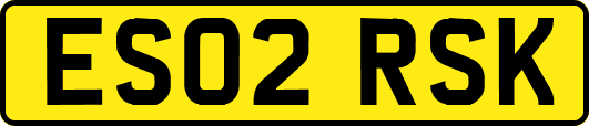 ES02RSK