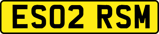 ES02RSM