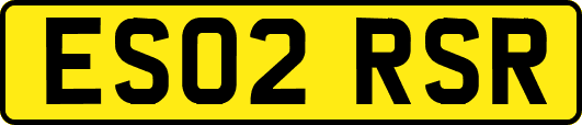 ES02RSR