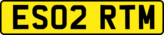 ES02RTM